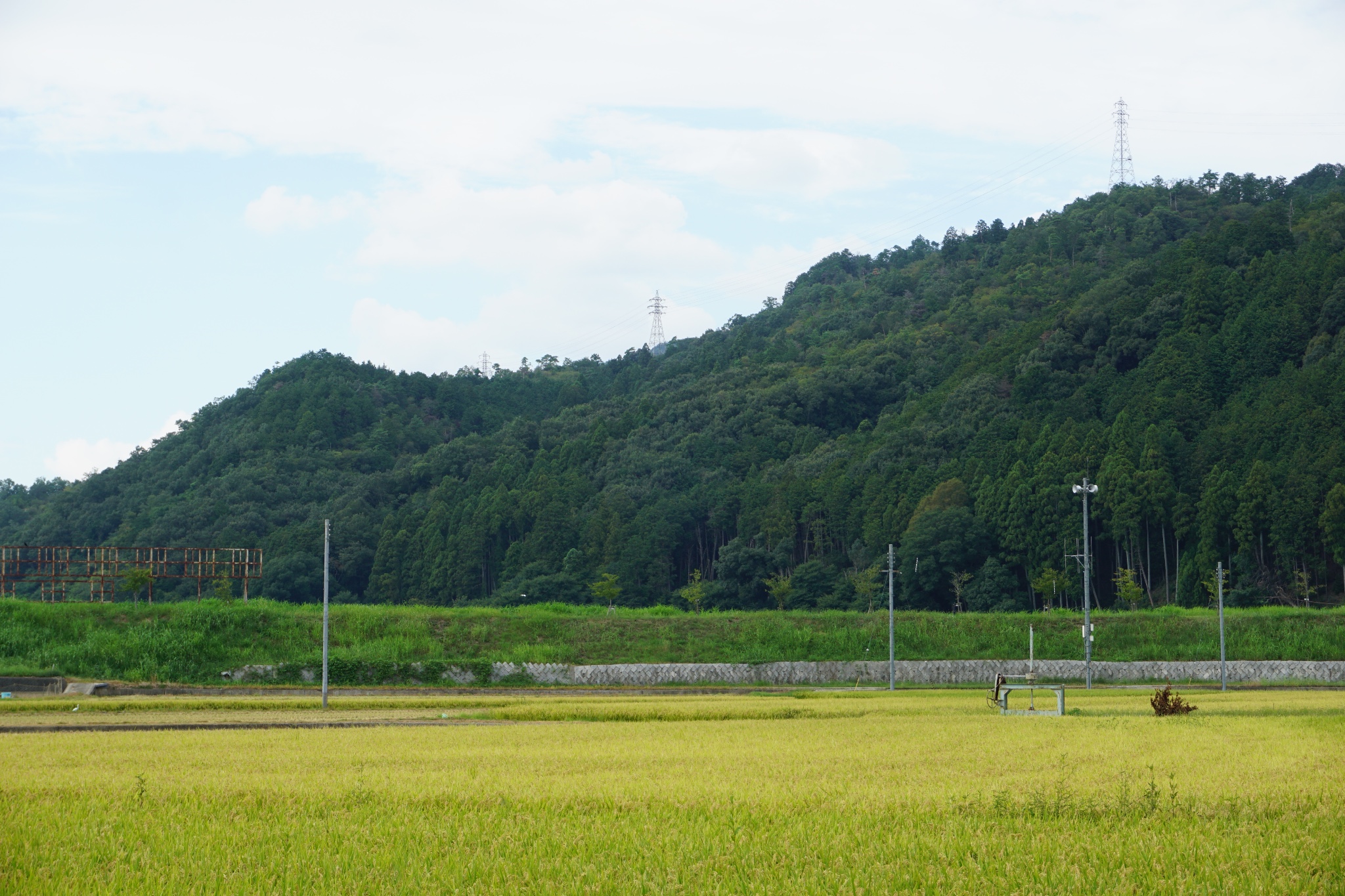 日本自助遊攻略