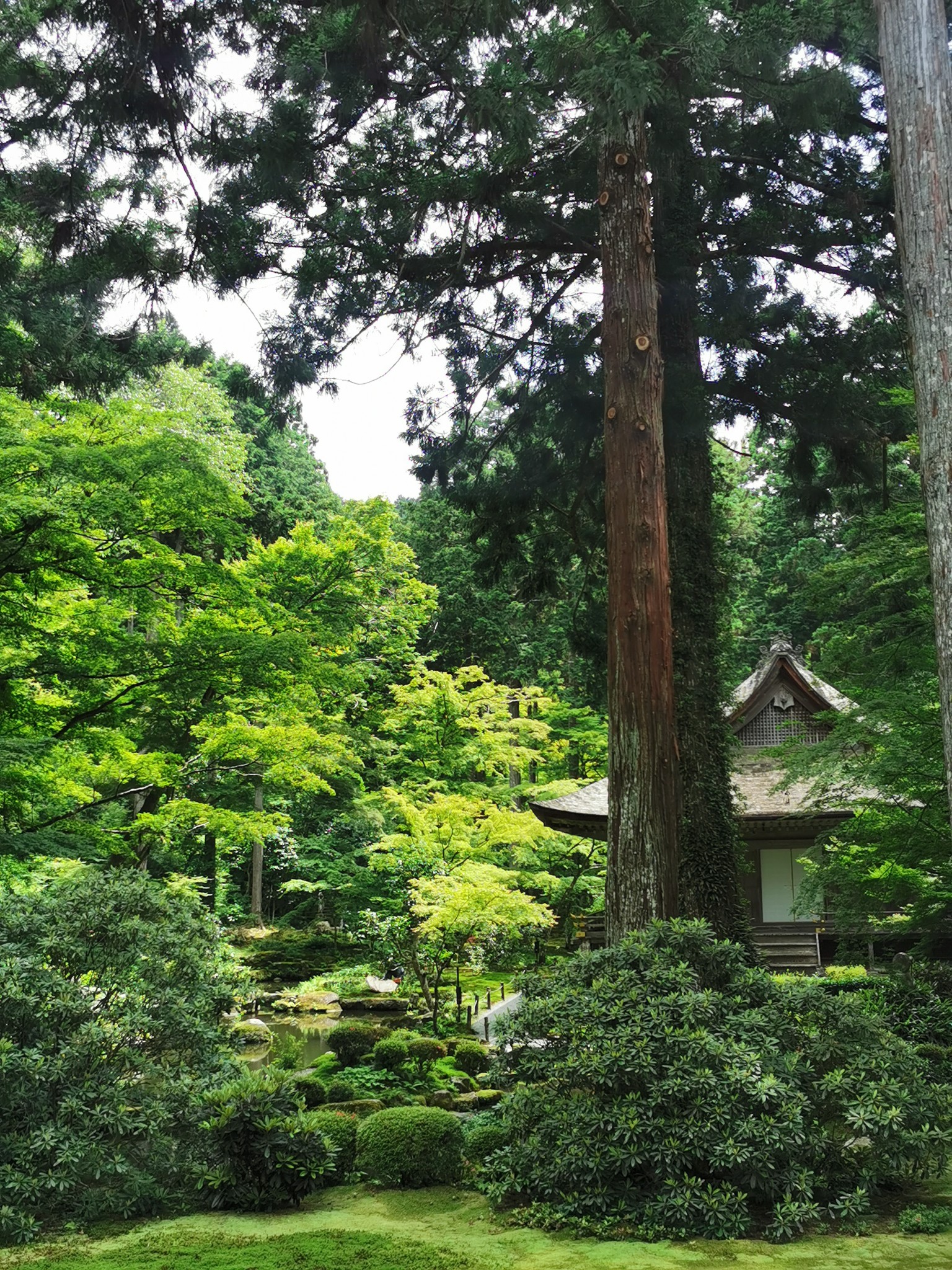 京都自助遊攻略