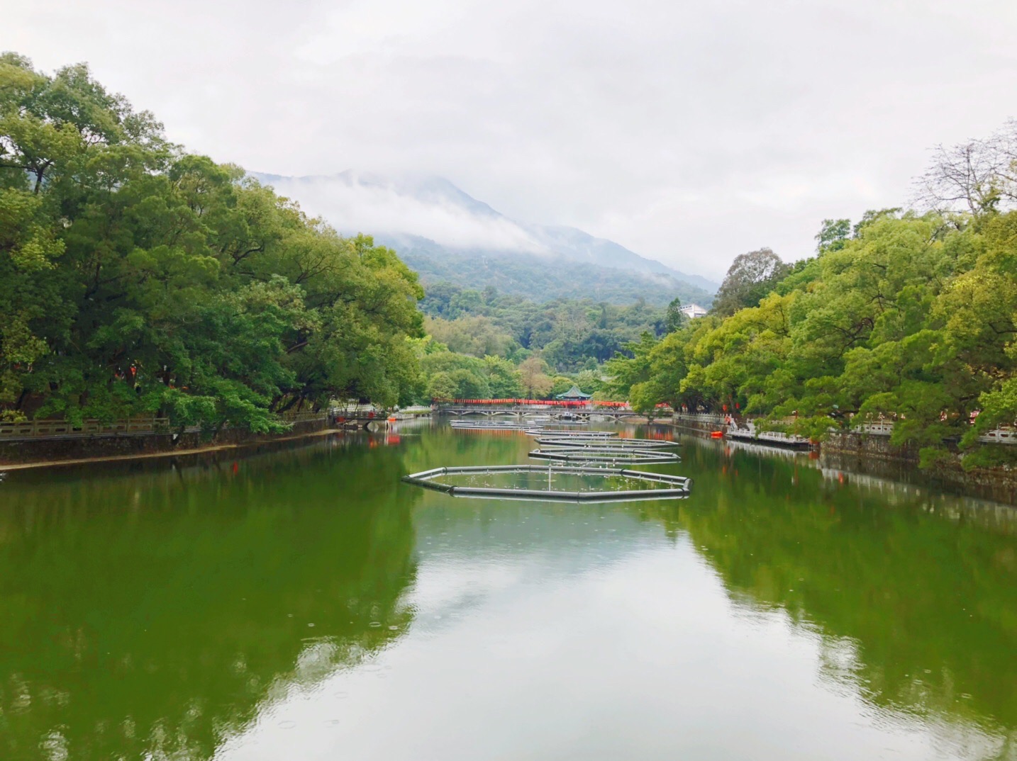 雨霧羅浮山_遊記