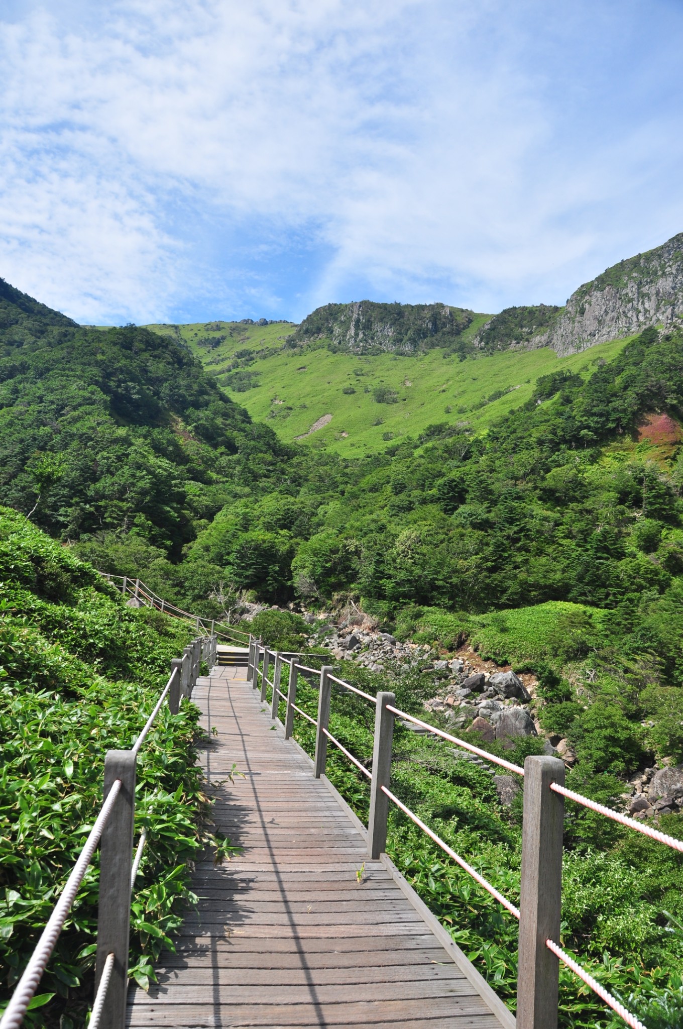 何处寻白鹿瀛洲访汉拿给你一个与众不同的济州岛附汉拿山登顶攻略
