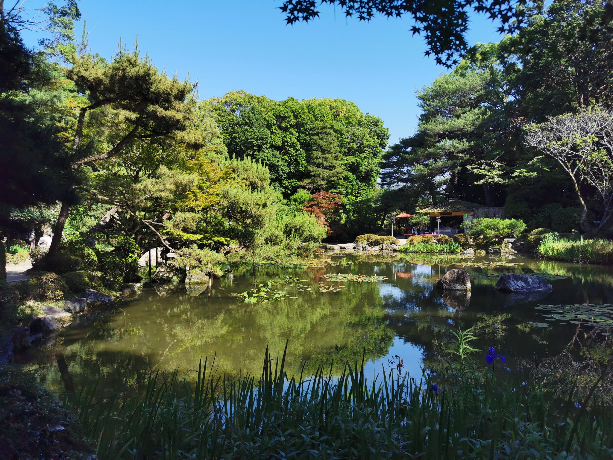 京都自助遊攻略