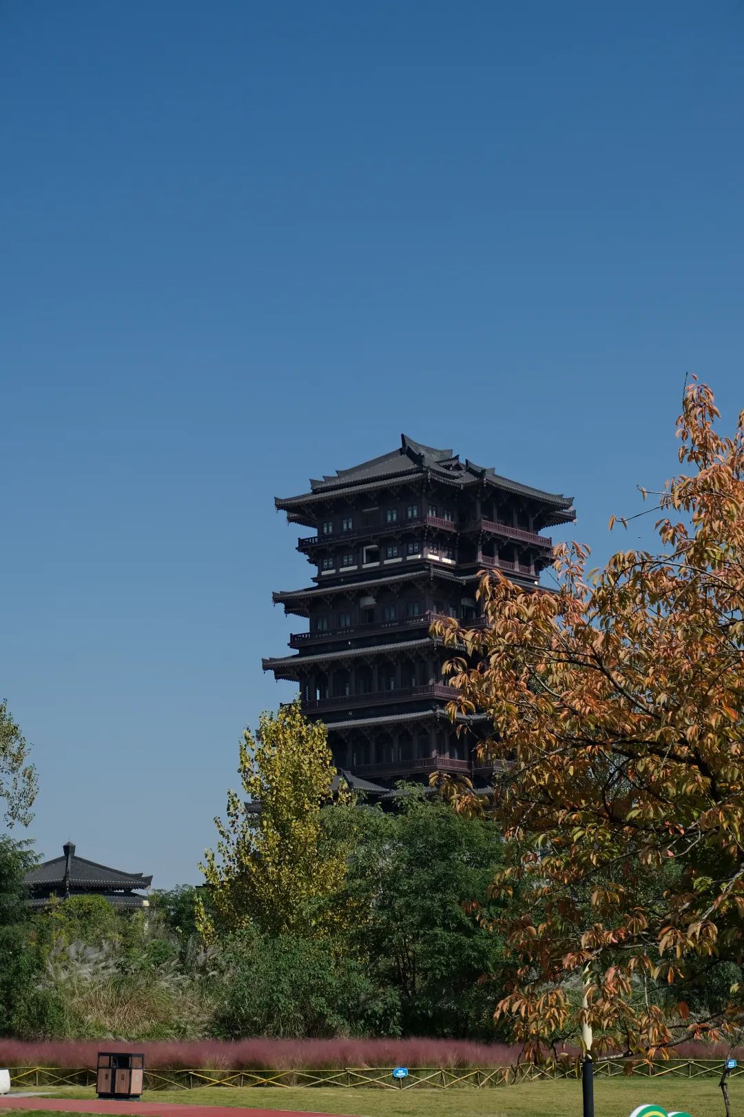 今天就让小游带您跟着镜头一起"云游"天汉湿地