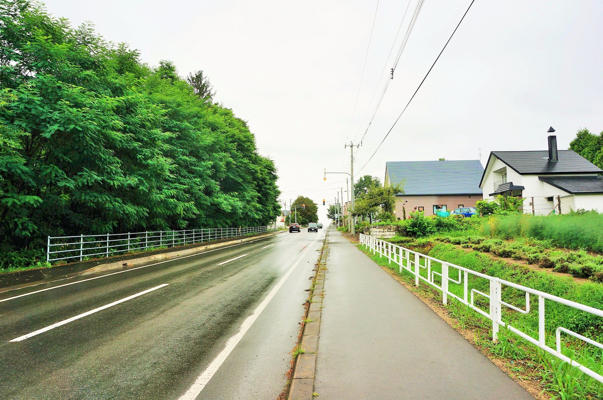 北海道自助遊攻略