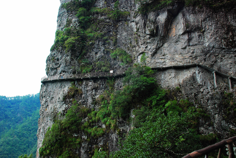 【屏南景点图片】宁德仙山牧场