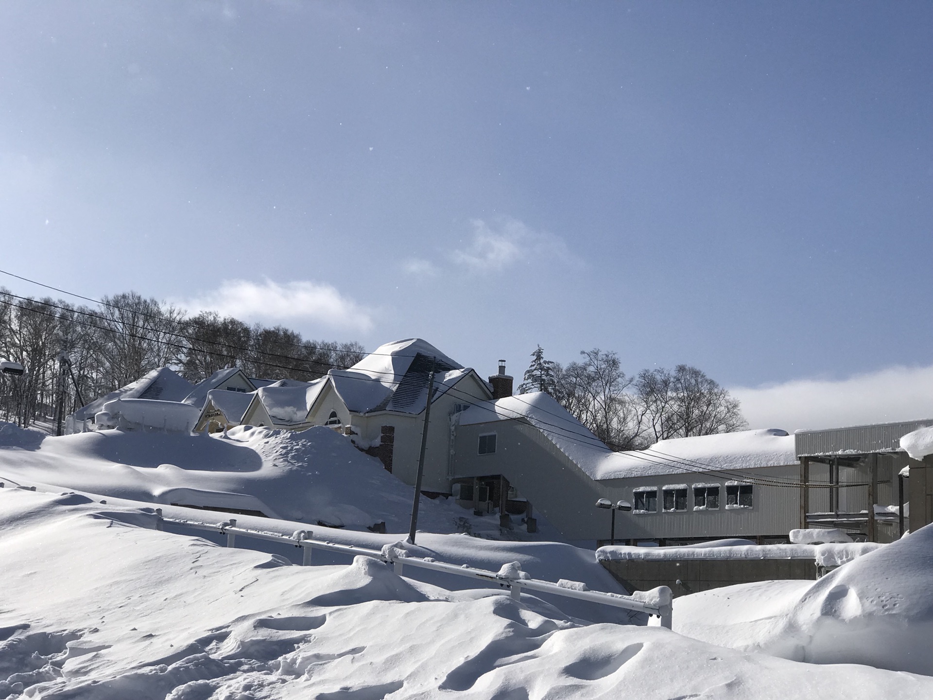 北海道自助遊攻略