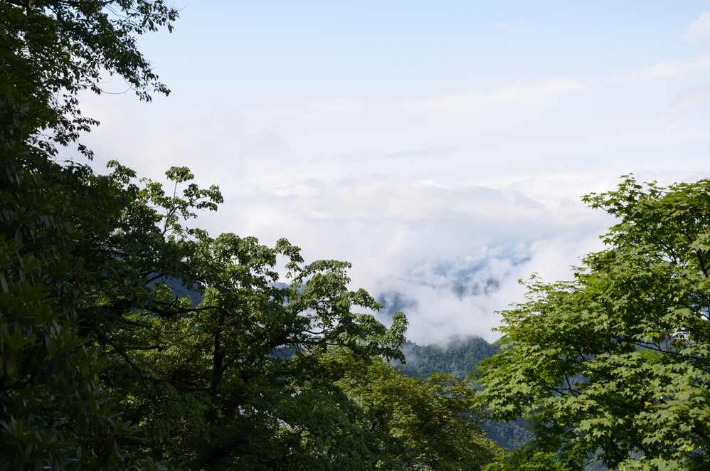 夏の峨眉,峨眉山市自助遊攻略 - 馬蜂窩