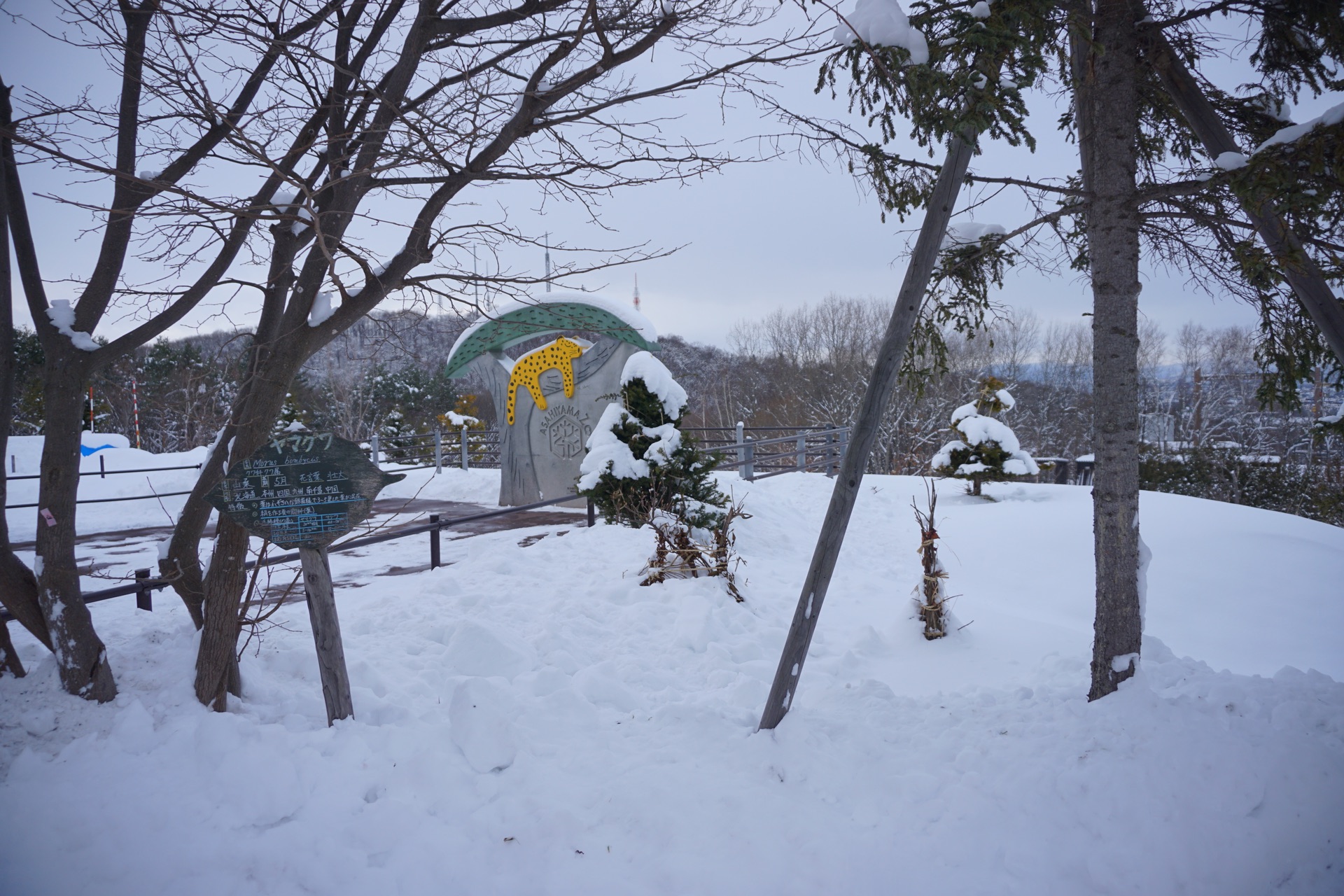 北海道自助遊攻略