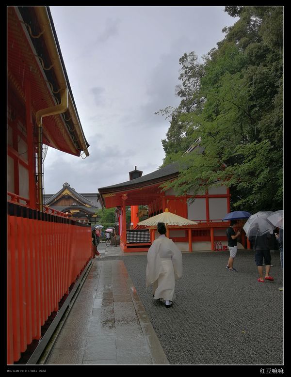 京都自助遊攻略