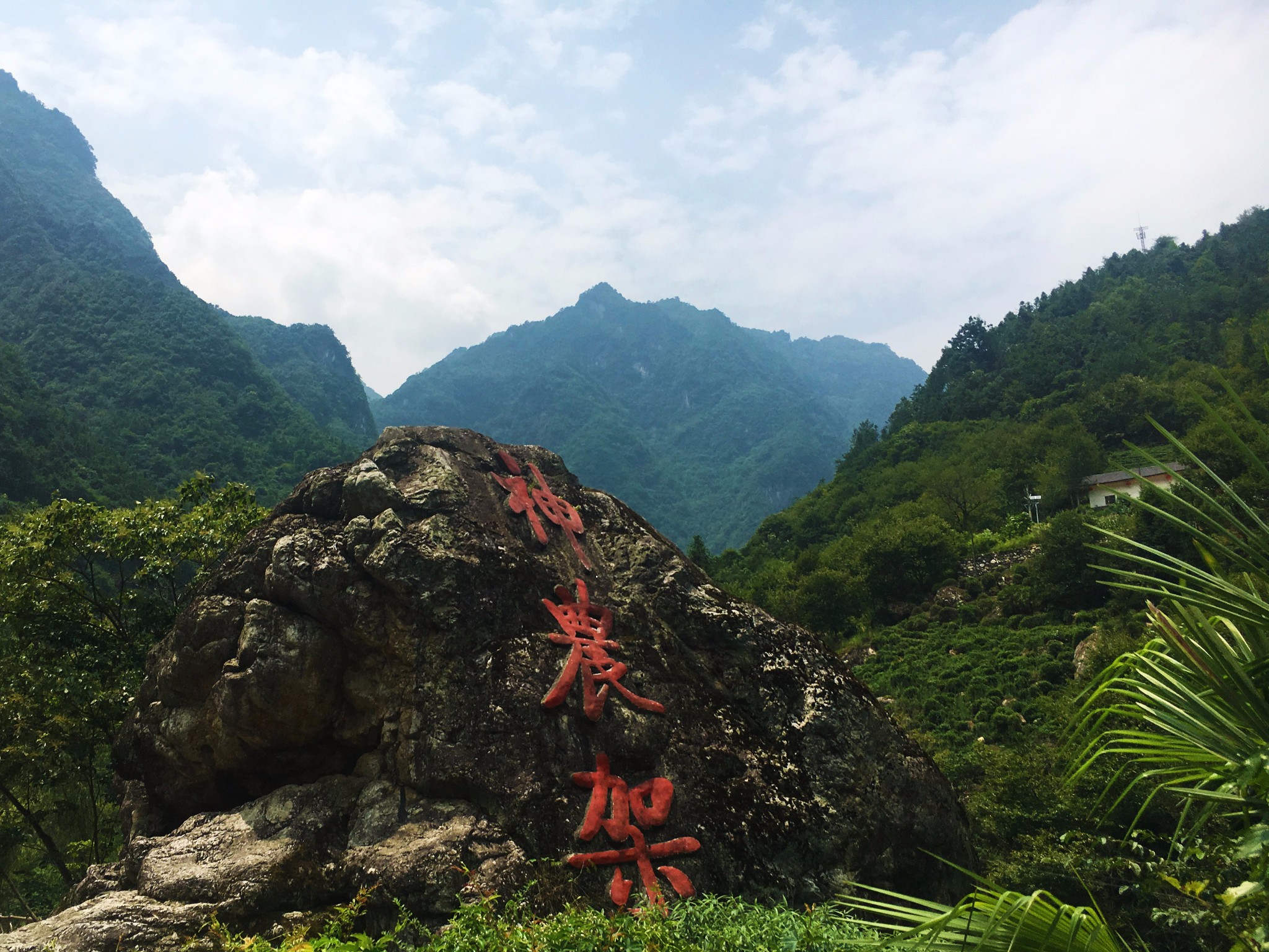 鄂西自駕探秘之旅(上)—神農架篇,神農架旅遊攻略 - 馬蜂窩