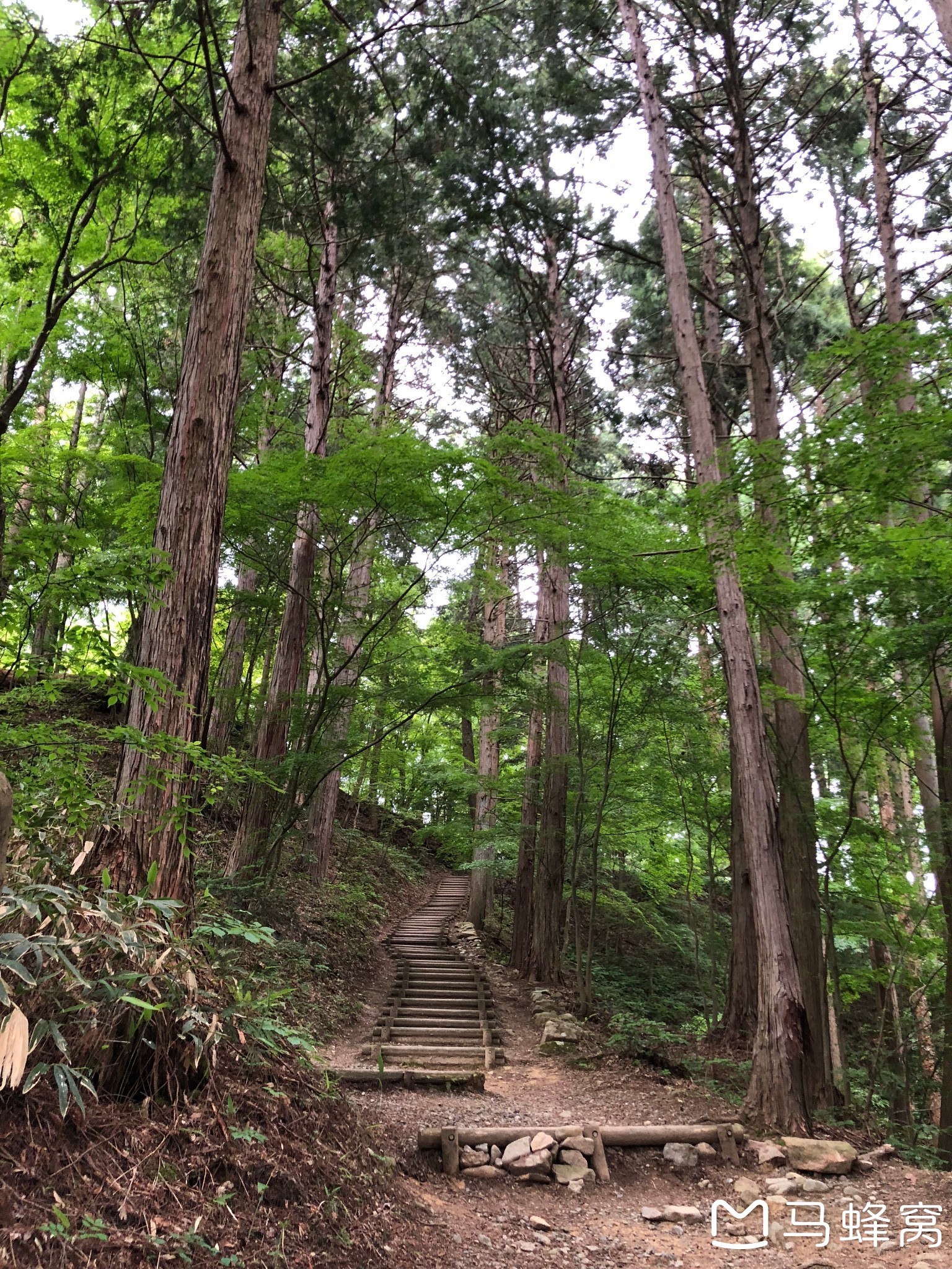 名古屋自助遊攻略