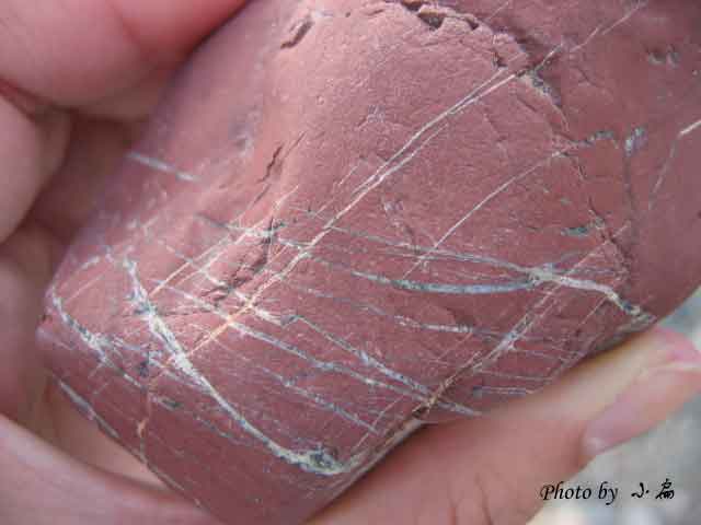 小扁走南疆(十四)库车,库车旅游攻略 - 马蜂窝