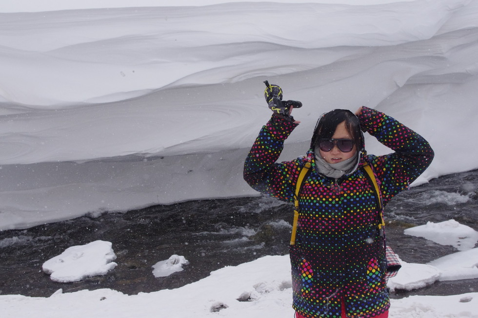 大王叫我来巡山