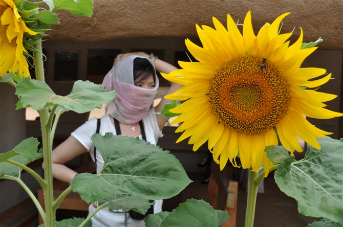 哇酷的旅行日记