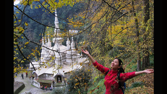 老茉的时光琥珀