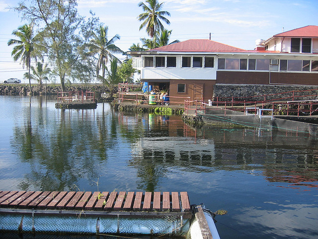 夏威夷大岛美食-Seaside Restaurant