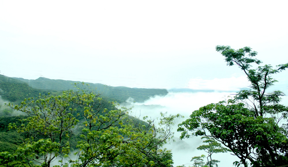 途中, 间一背包客独自一人翻越山脉, 从屏东  骑着单车到台东  .