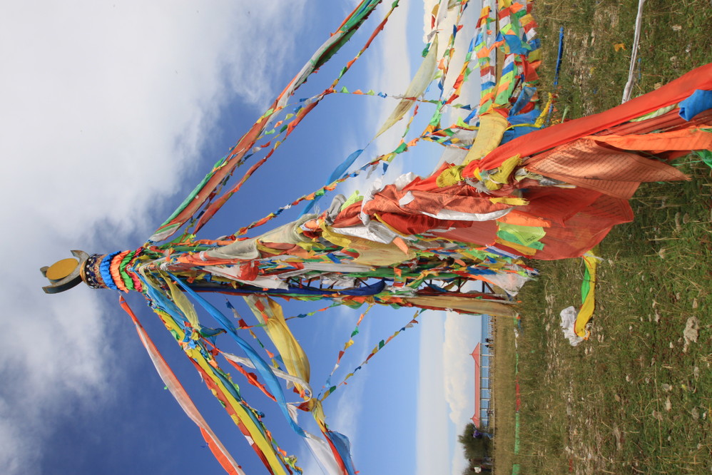 大美青海归去来兮碰到了一年一度下宝瓶