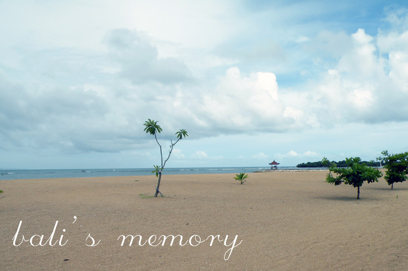 巴厘岛的回忆