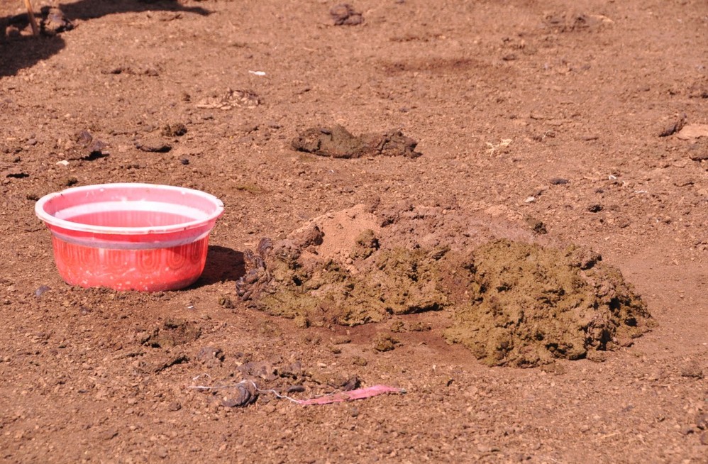 2011肯尼亚——非洲象征马赛族人,肯尼亚旅游攻略 - 马蜂窝