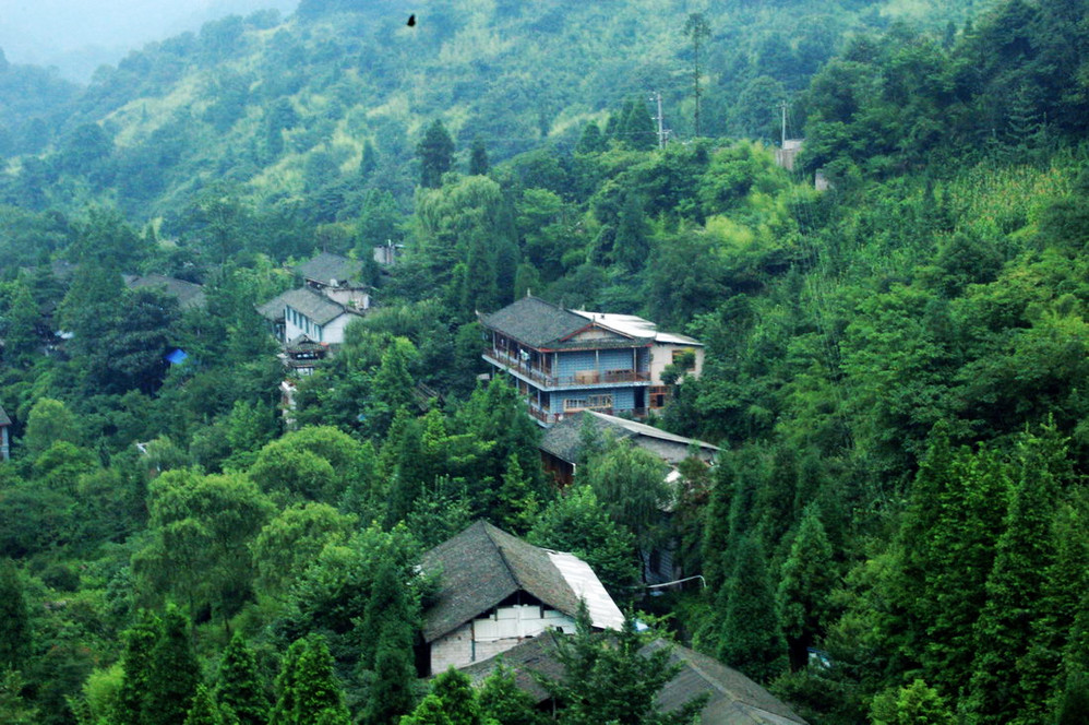 青城山青城山又一村图片