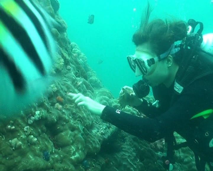 -﹀﹀ご李斯婷· o