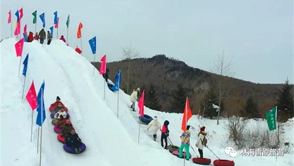 大石沟经营林场