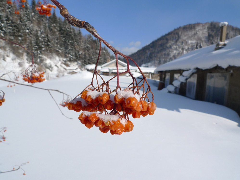 记忆在那一刻冻结--一家三口的冰花雪月(哈尔滨.雪乡二)
