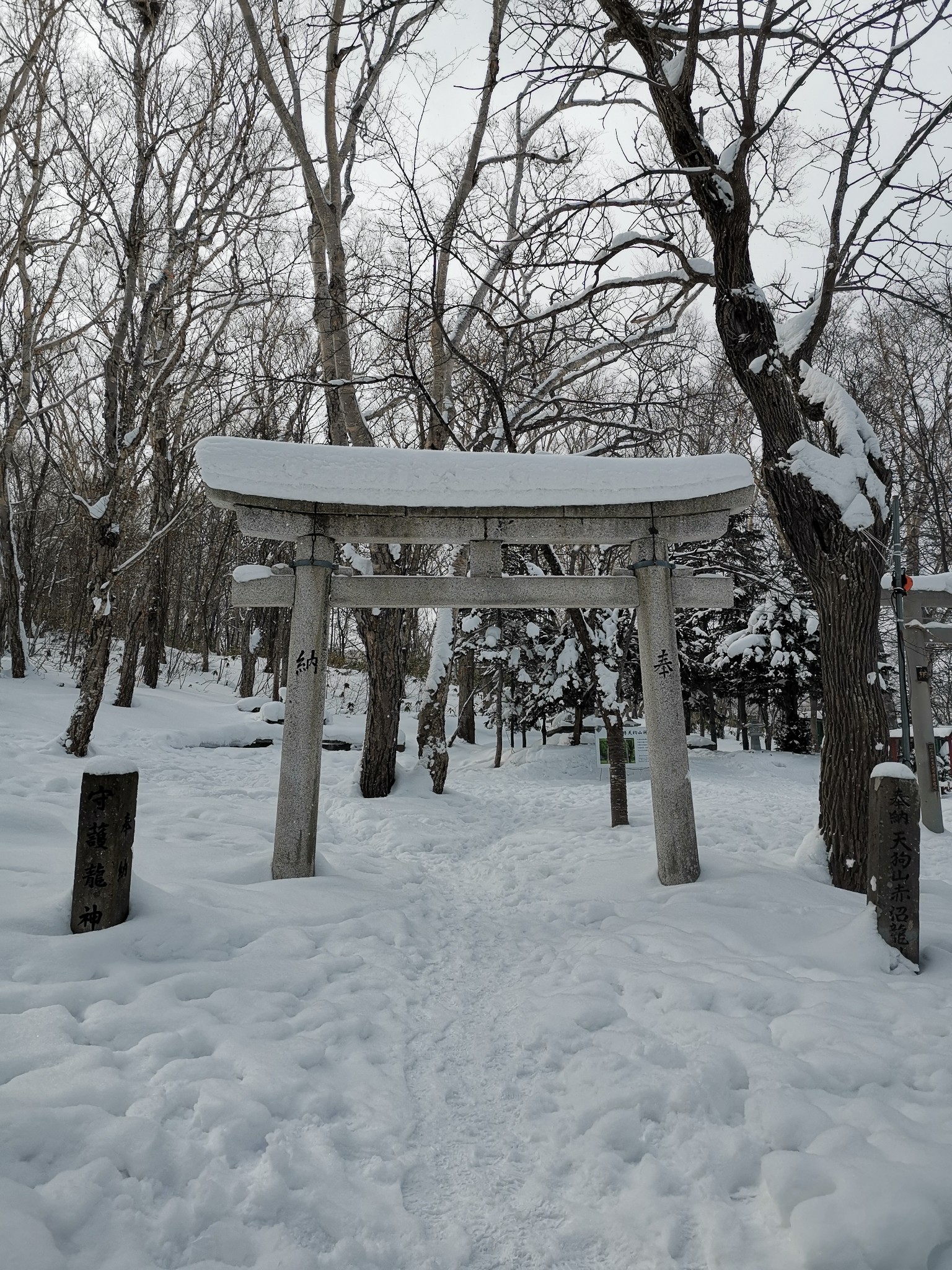 札幌自助遊攻略