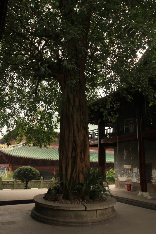 韶关南华寺丹霞山佛教丹霞地貌3日游