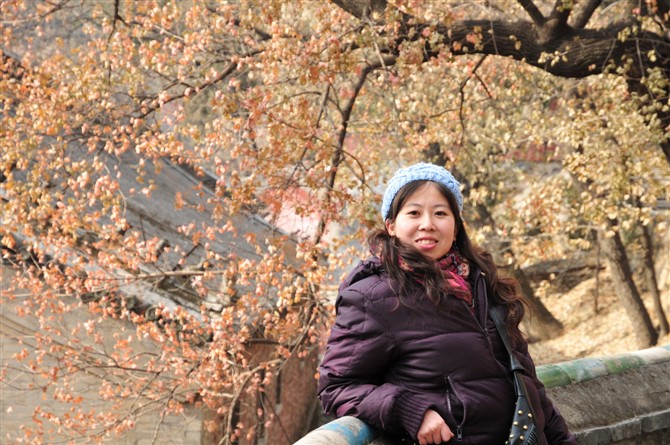 空中--梦想家---