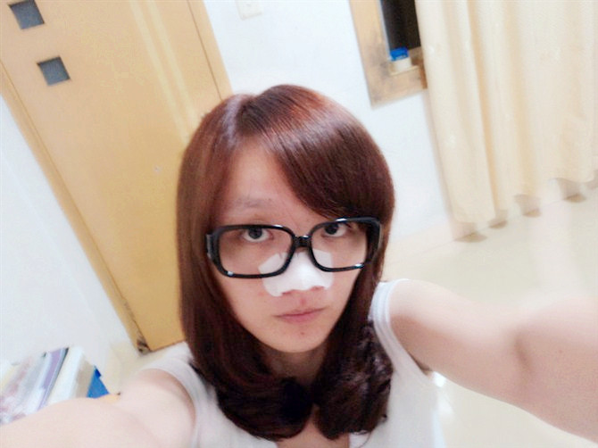 。一只长颈鹿---