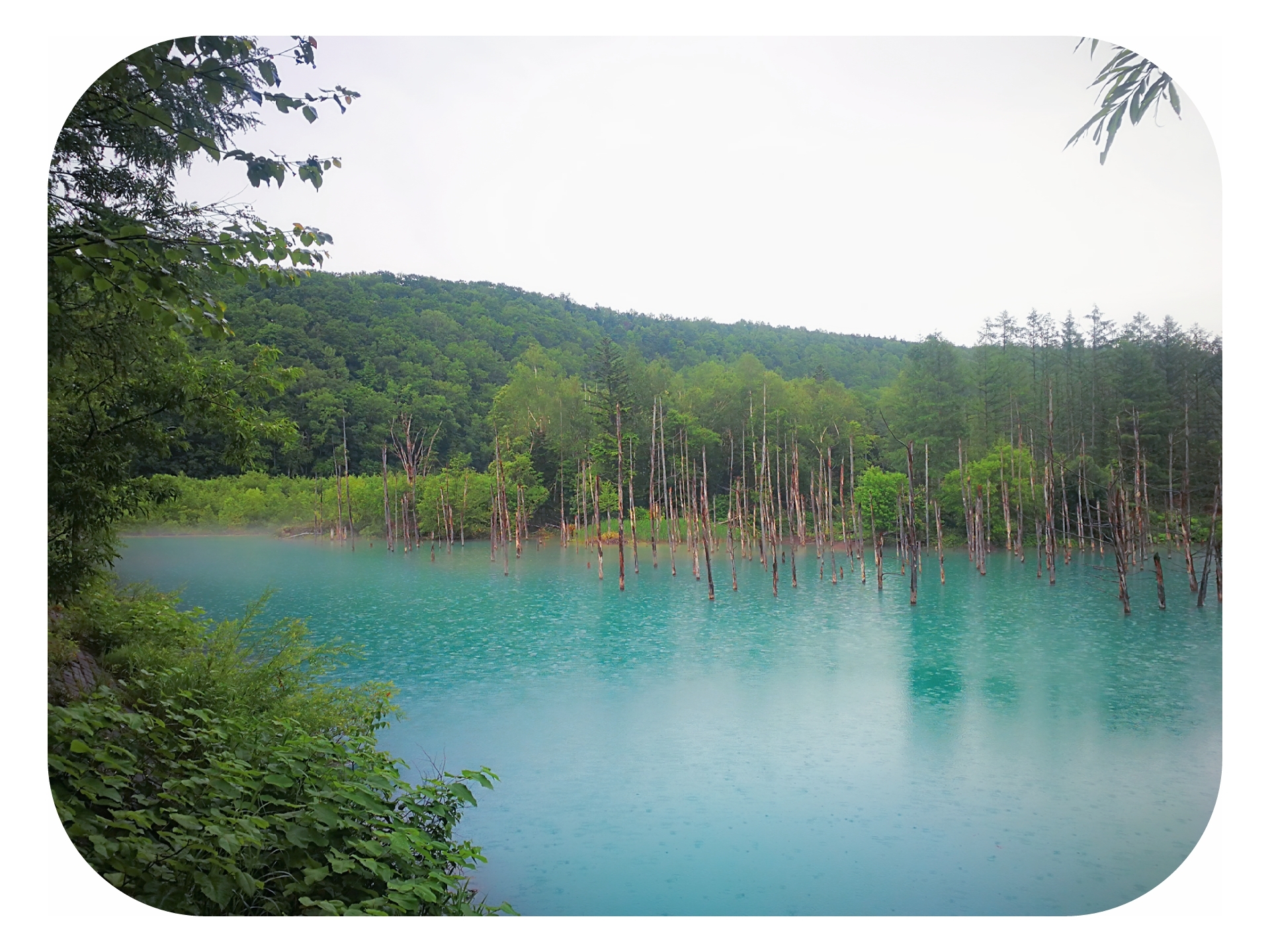 北海道自助遊攻略