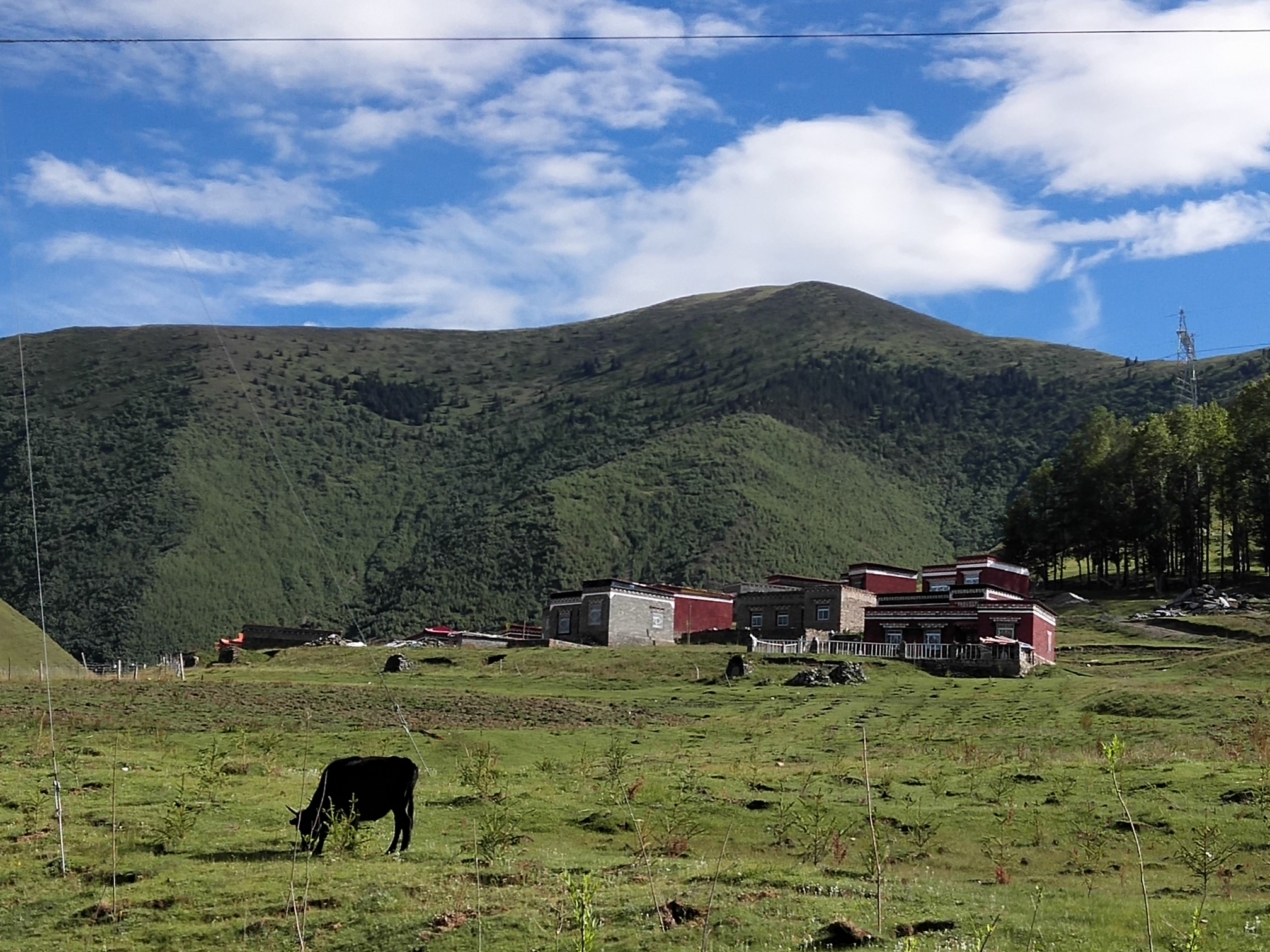 一个人的川西(康定,白海子山,新都桥,塔公),康定自助游攻略 - 马蜂窝