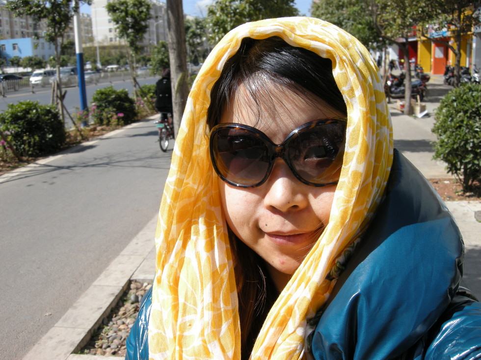 一路向南的燕子