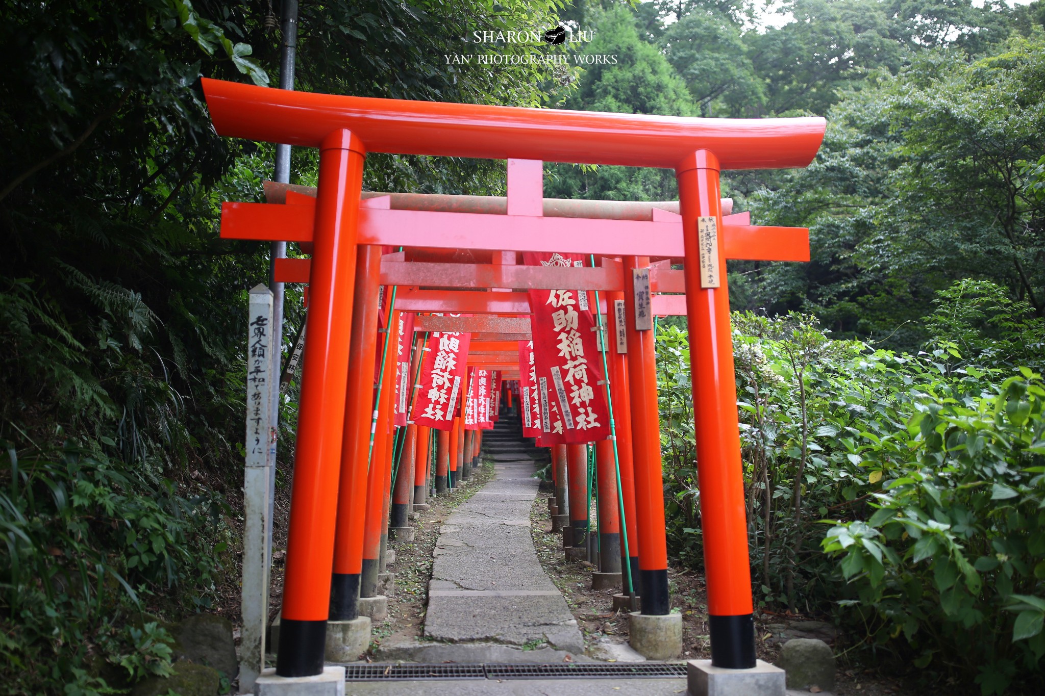 東京自助遊攻略