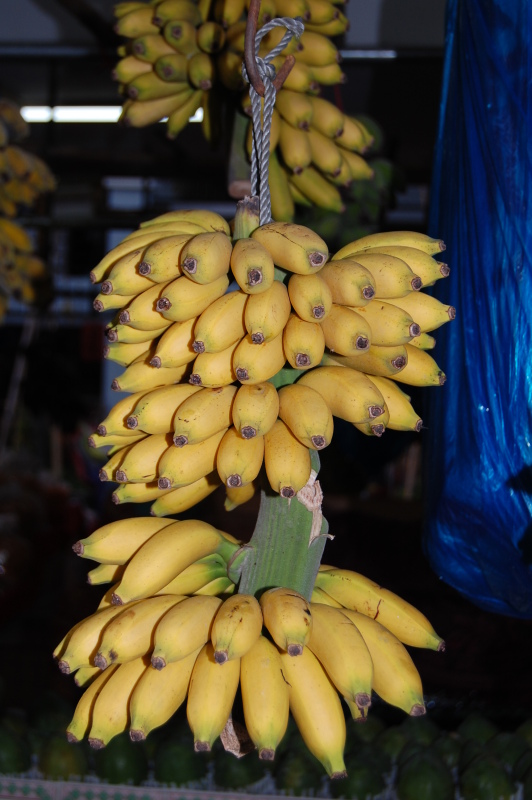 南沙海鲜,妙不可言