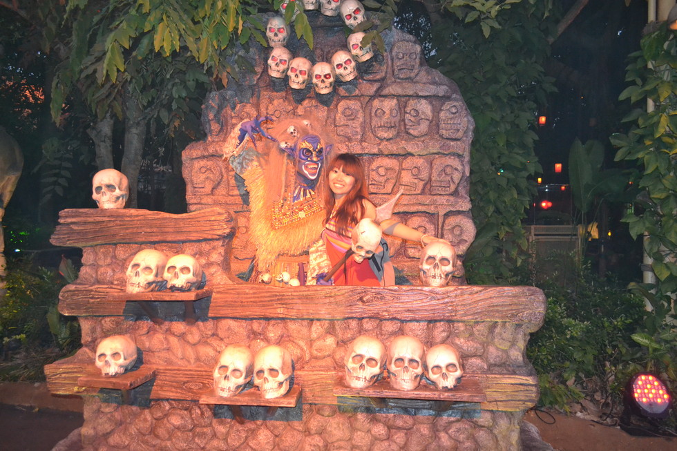 折腾de猪崽子for