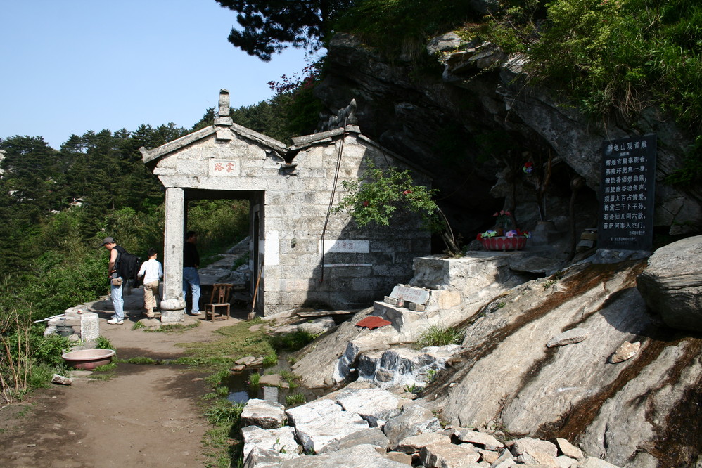 湖北黃岡市麻城縣龜山杜鵑節