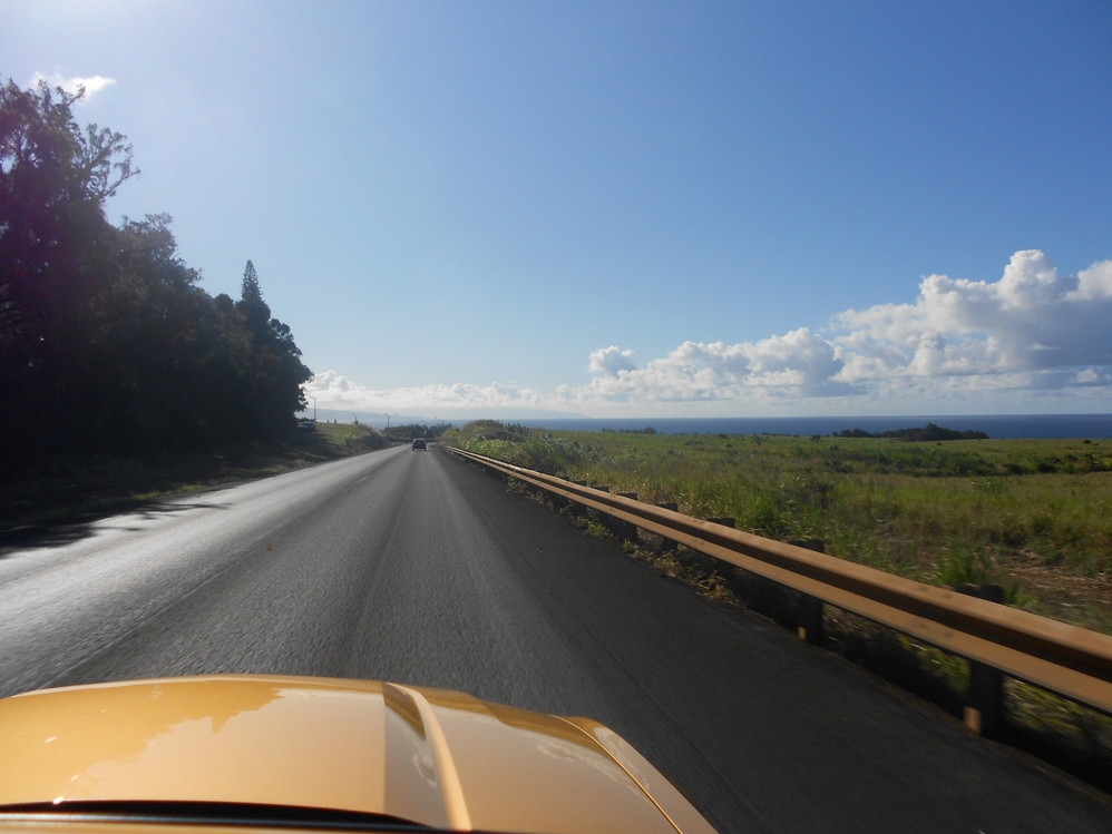 夏威夷之茂宜岛的天堂之路roadtohana