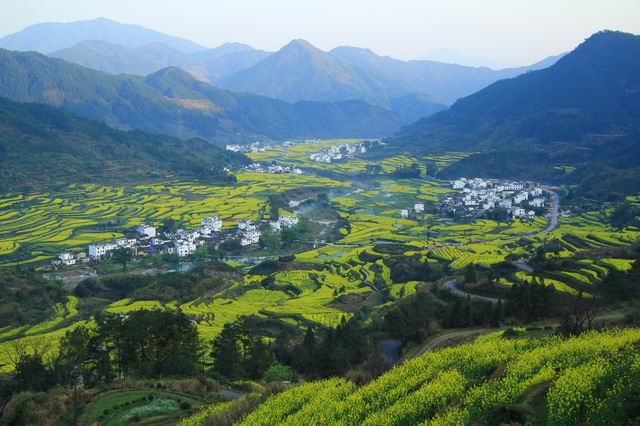 美麗婺源幸福之旅東線一日遊