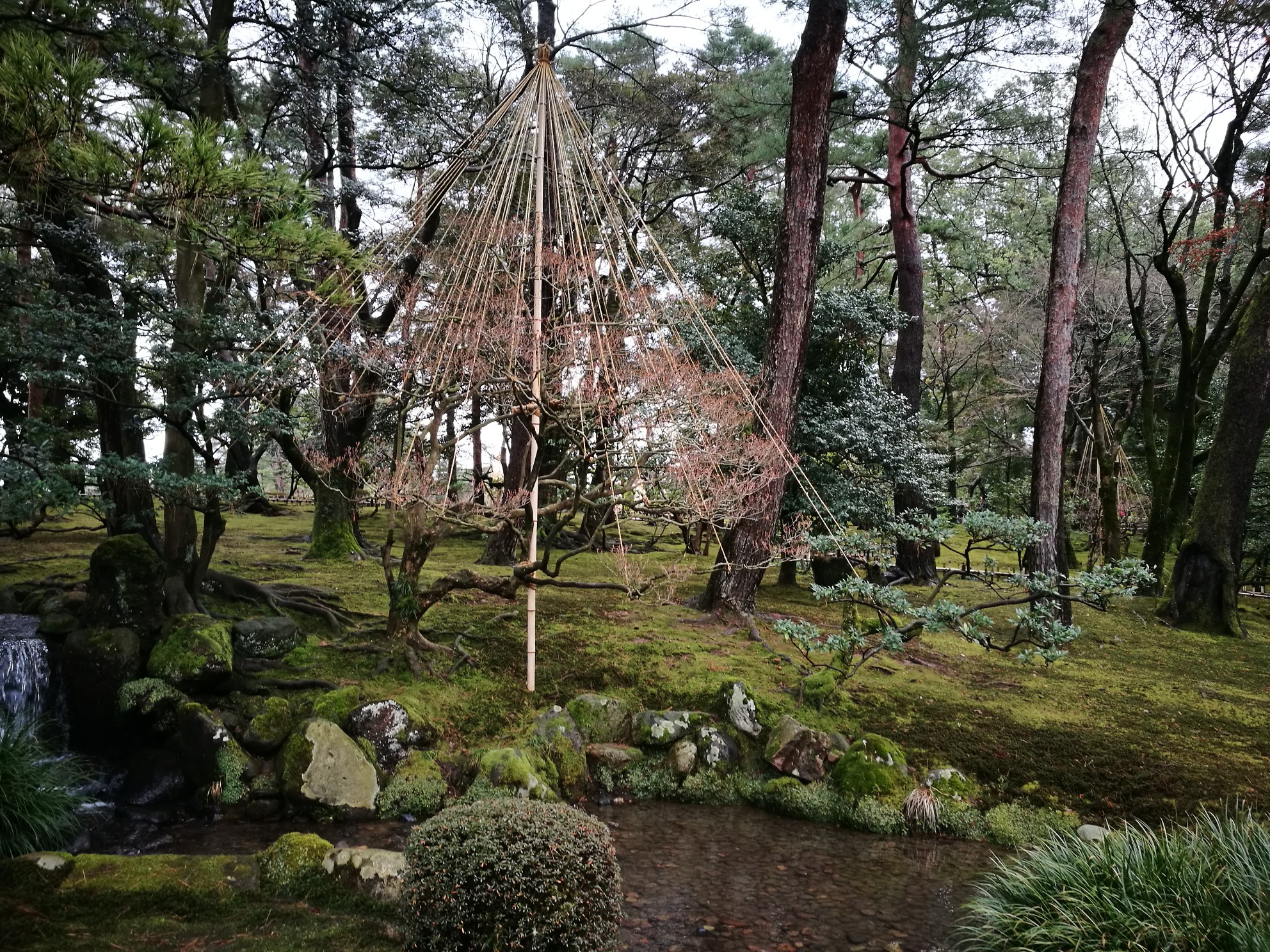 東京自助遊攻略