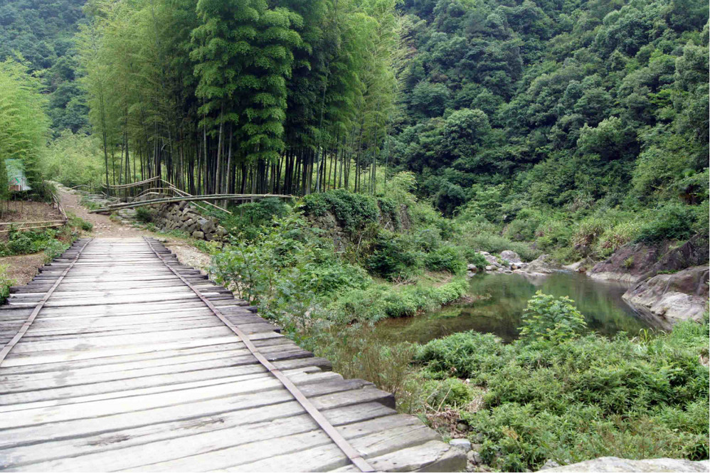 芝林古道踩点游记