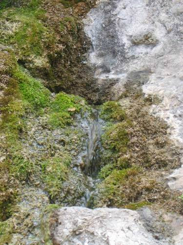 探访古村名泉之淌豆泉