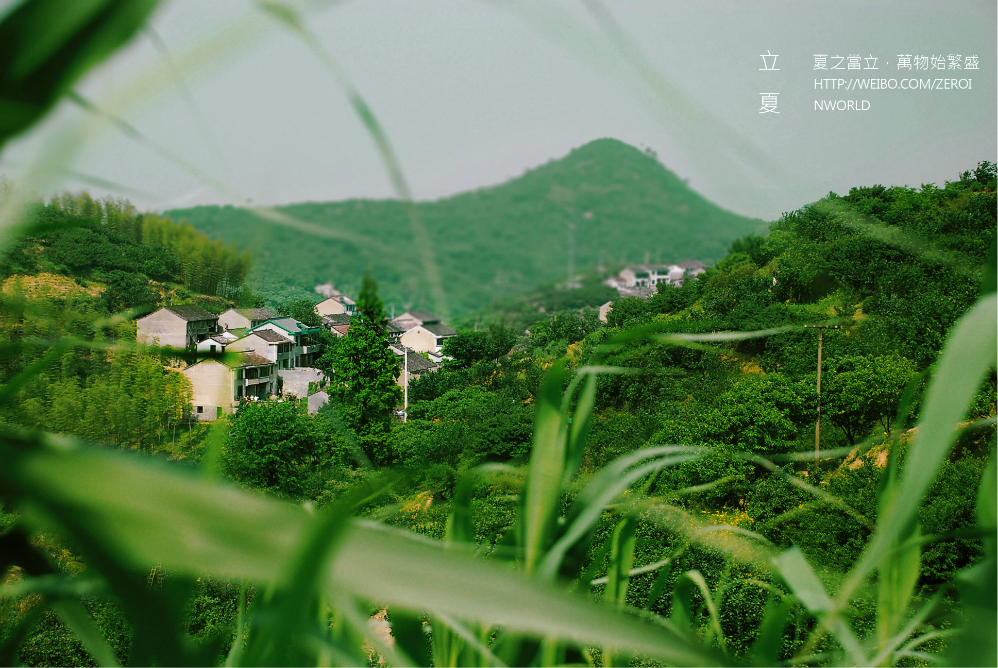 芦山，与世无争处的寂寥