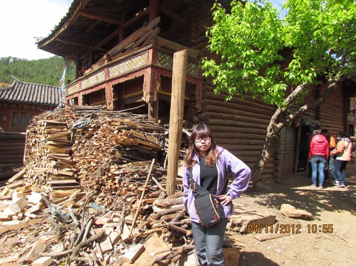 亚克西西大马蜂