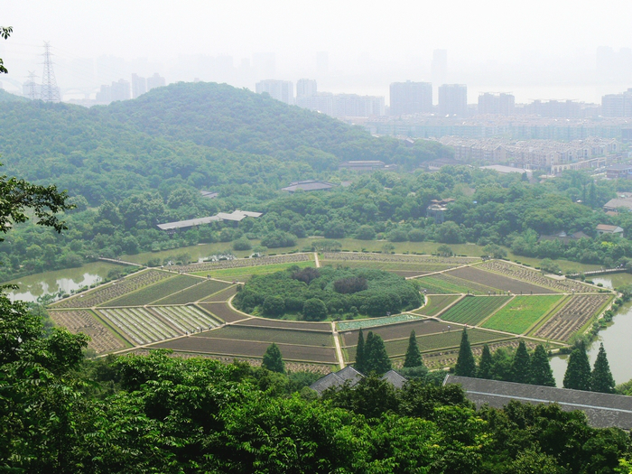 八卦田玉皇山,杭州旅游攻略 