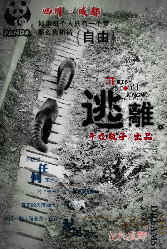 探索中国(成都)大熊猫繁育研究基地 (终),熊猫基地自助游攻略 - 马