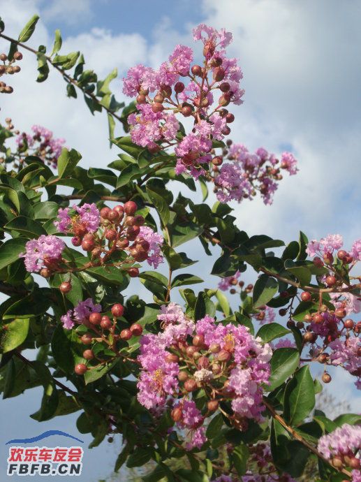 漈头古村和霍童古镇的游记