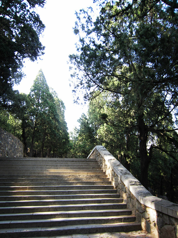 自駕遊泰山濟南三日遊.重點泰山.,泰安旅遊攻略 - 馬蜂窩