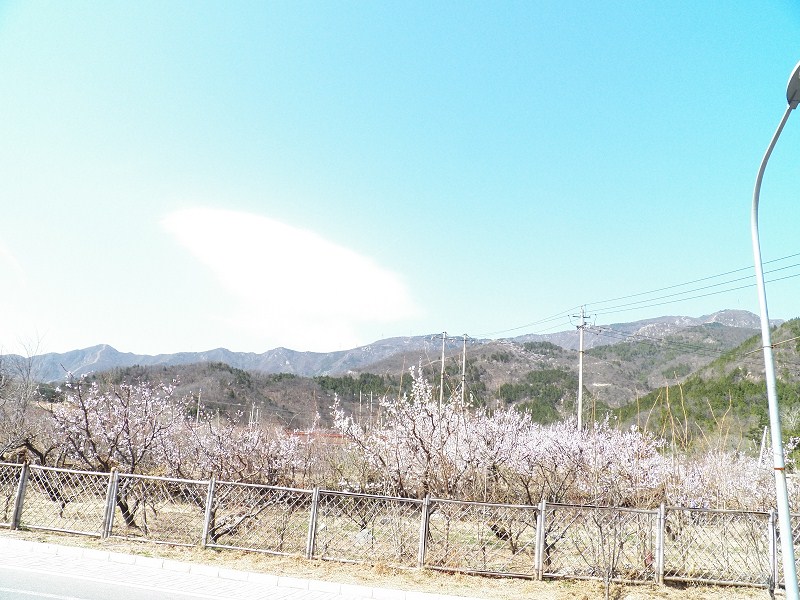 了~如果有興趣的同學想去陽臺山,可以坐346路公交車在北安河西口下,也